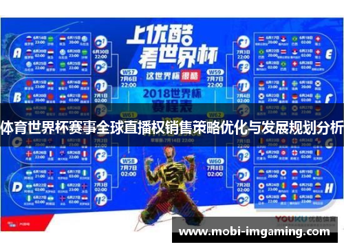 体育世界杯赛事全球直播权销售策略优化与发展规划分析