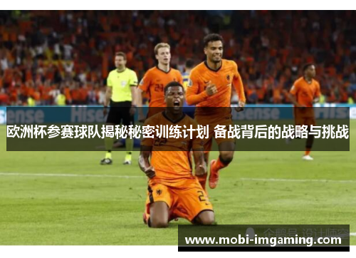 欧洲杯参赛球队揭秘秘密训练计划 备战背后的战略与挑战