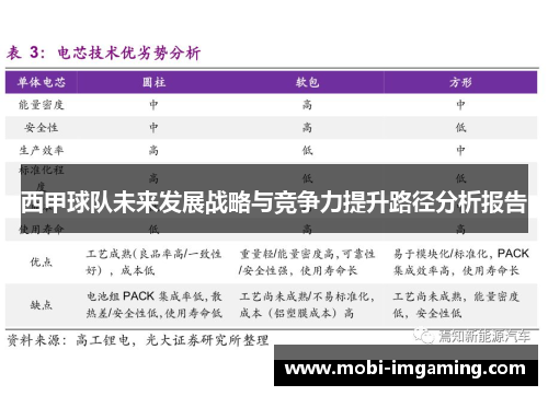 西甲球队未来发展战略与竞争力提升路径分析报告