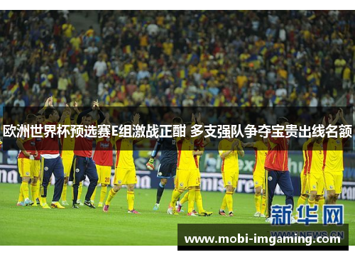 欧洲世界杯预选赛E组激战正酣 多支强队争夺宝贵出线名额
