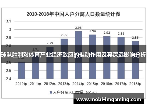 球队胜利对体育产业经济效应的推动作用及其深远影响分析