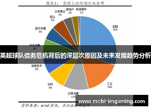 英超球队债务危机背后的深层次原因及未来发展趋势分析