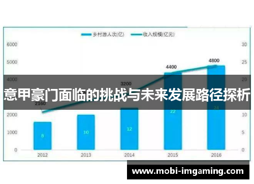 意甲豪门面临的挑战与未来发展路径探析