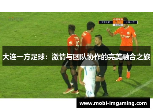 大连一方足球：激情与团队协作的完美融合之旅