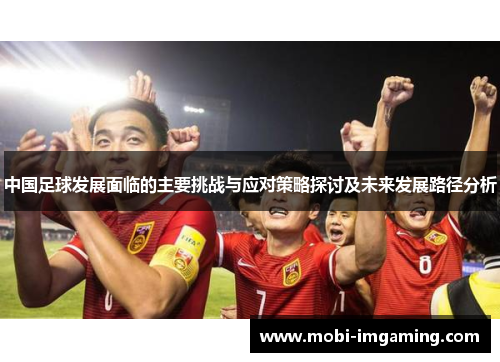 中国足球发展面临的主要挑战与应对策略探讨及未来发展路径分析