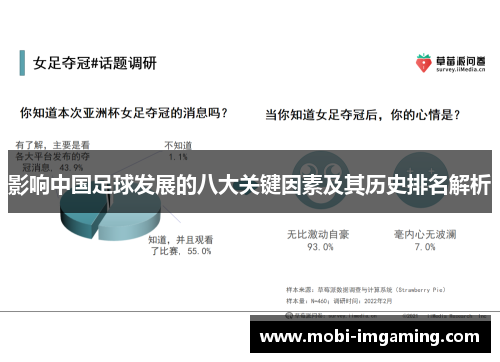 影响中国足球发展的八大关键因素及其历史排名解析