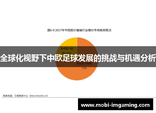 全球化视野下中欧足球发展的挑战与机遇分析