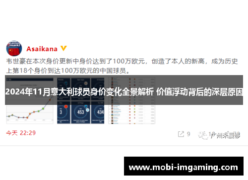 2024年11月意大利球员身价变化全景解析 价值浮动背后的深层原因