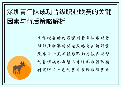 深圳青年队成功晋级职业联赛的关键因素与背后策略解析