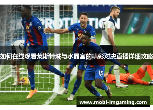 如何在线观看莱斯特城与水晶宫的精彩对决直播详细攻略