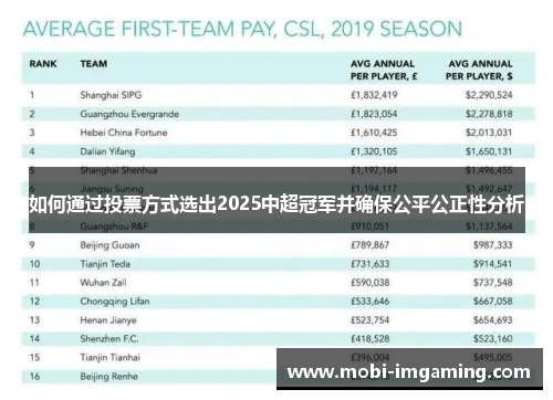 如何通过投票方式选出2025中超冠军并确保公平公正性分析