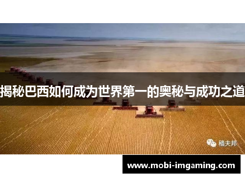 揭秘巴西如何成为世界第一的奥秘与成功之道