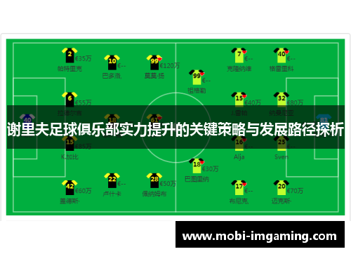 谢里夫足球俱乐部实力提升的关键策略与发展路径探析