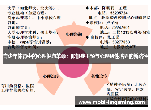 青少年体育中的心理健康革命:抑郁症干预与心理韧性培养的新路径